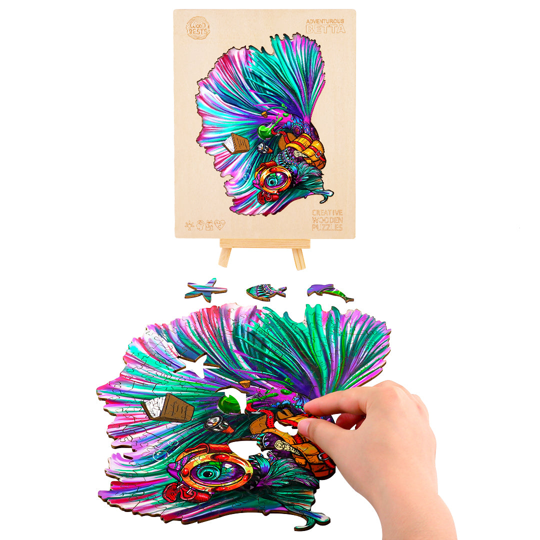 Betta aventureux