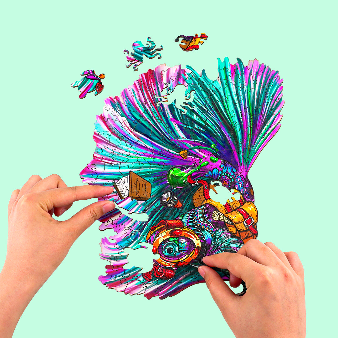 Betta aventureux